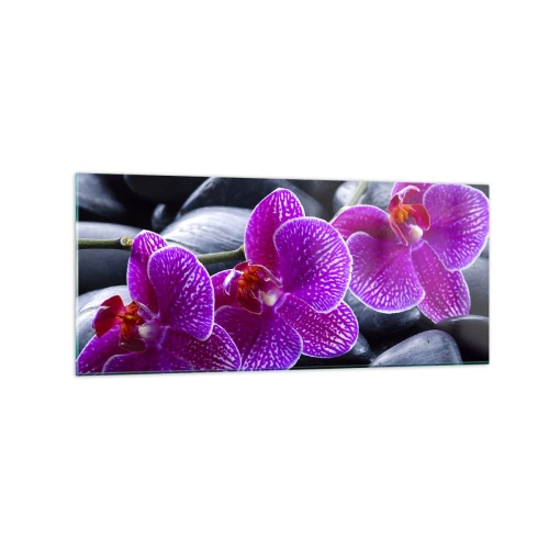 Obraz na szkle - Fioletowe orchidee na tle czarnych kamieni - 120x50cm - Kamienie pojaśniały z zachwytu - Nowoczesna dekoracja ścienna do salonu i sypialni ARTTOR