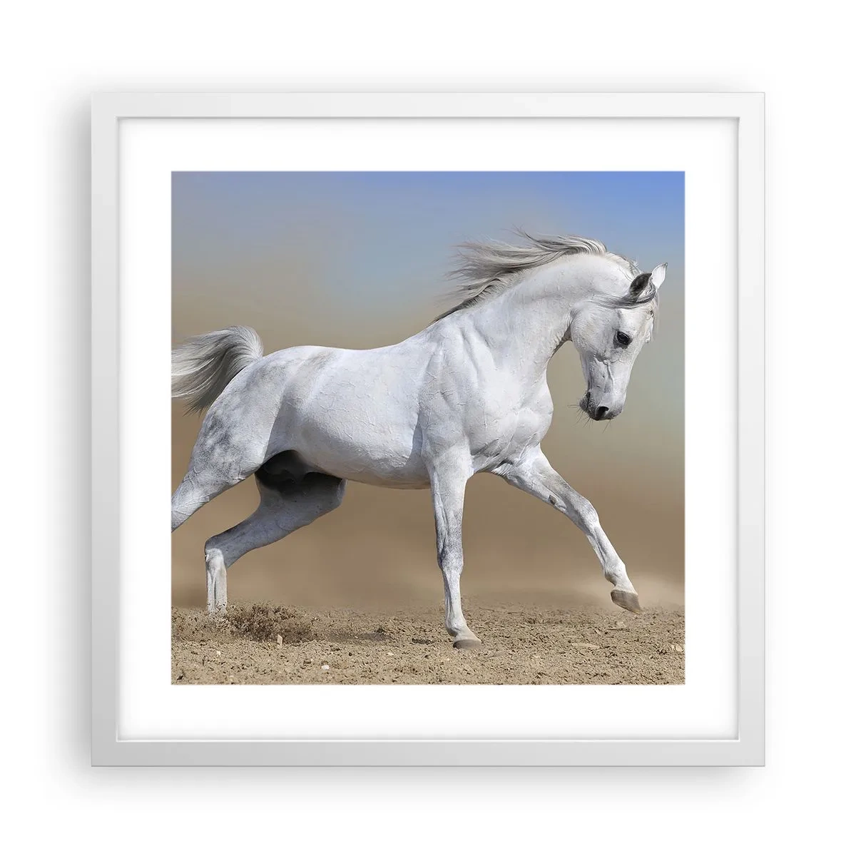 Plakat w białej ramie - Najpiękniejsza arabska baśń - 40x40 cm