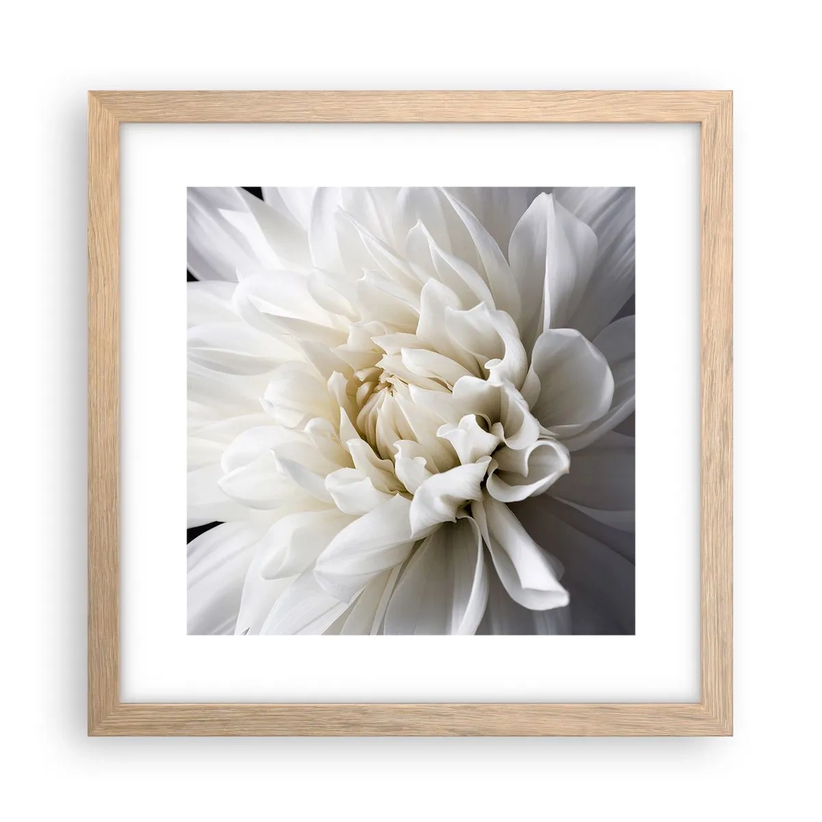 Plakat w ramie jasny dąb - Poranek Panny Młodej - 30x30 cm