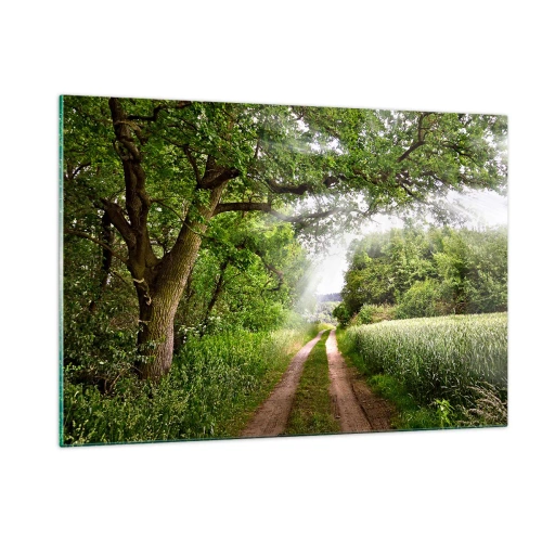 Obraz na szkle - Leśna droga otoczona zielenią w promieniach słońca - 120x80cm - Et in Arcadia ego - Nowoczesna dekoracja ścienna do salonu, kuchni i sypialni ARTTOR