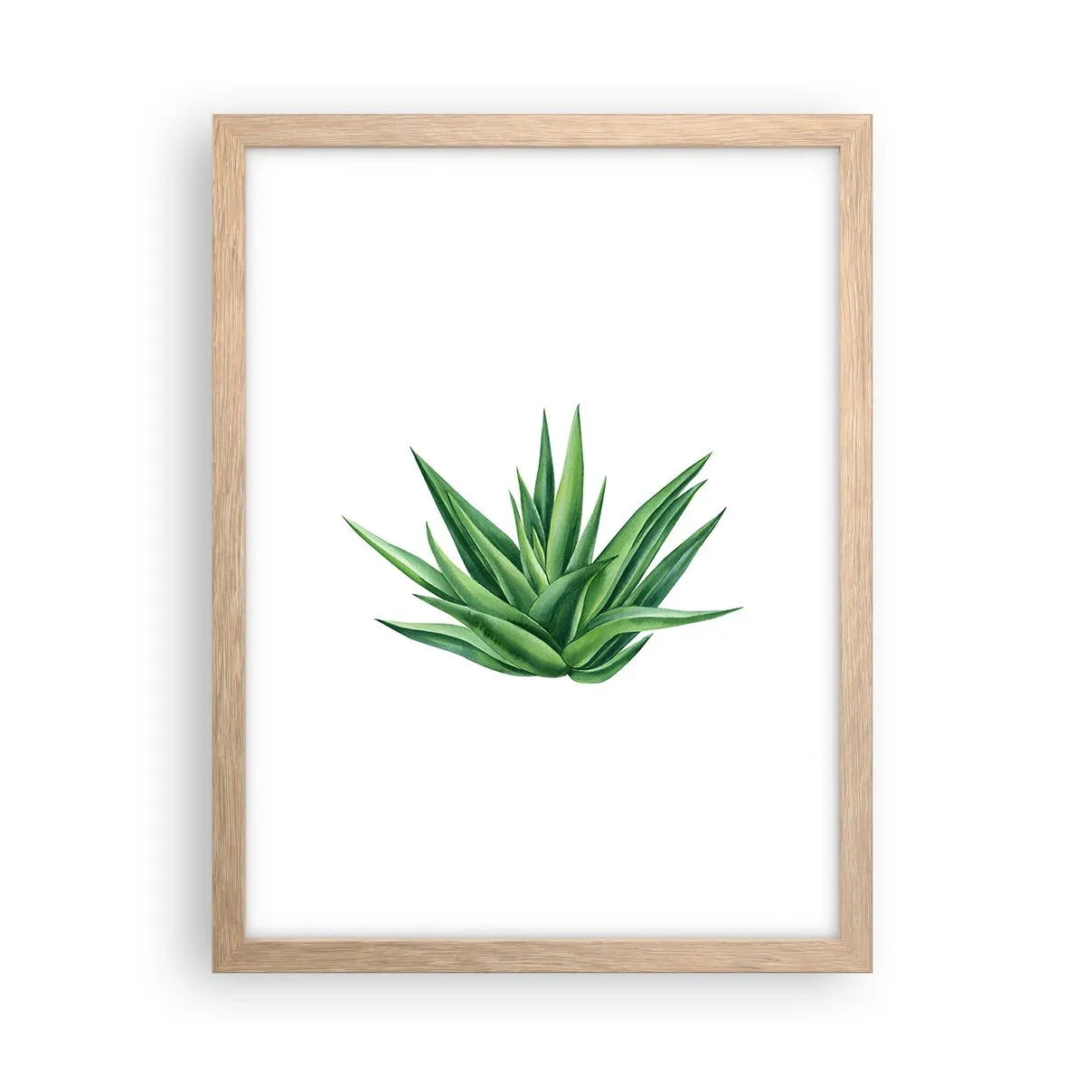 Plakat w ramie jasny dąb - Zieleń – siła – życie - 30x40 cm