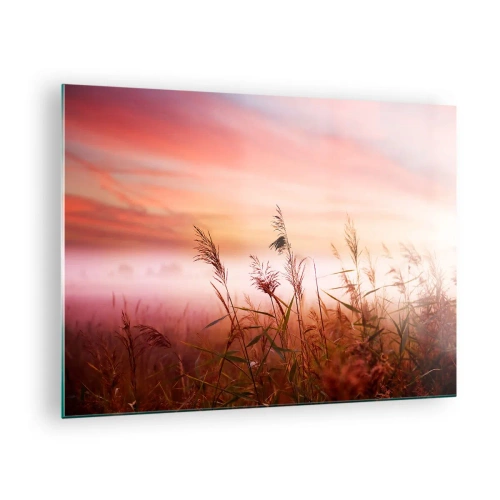 Obraz na szkle - Łąka w porannej mgle z pastelowym niebem - 70x50cm - Latawce, dmuchawce, wiatr - Nowoczesna dekoracja ścienna do salonu i sypialni ARTTOR