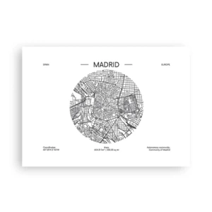 Plakat - Anatomia Madrytu - 70x50 cm