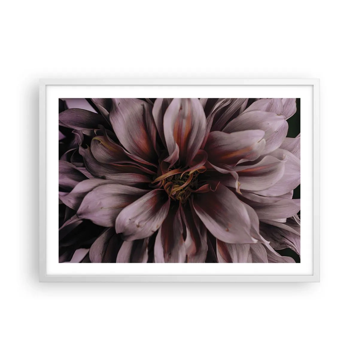 Plakat w białej ramie - Kwietne serce - 70x50 cm