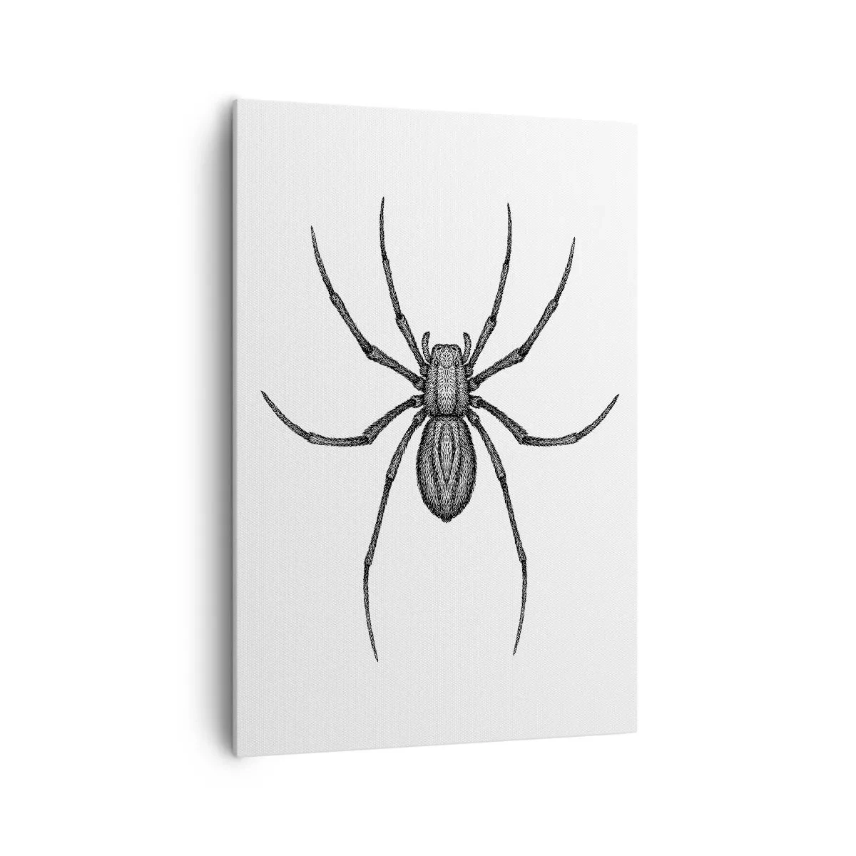 Obraz na płótnie - Detale pająka na białym tle w stylu rysunkowym - 70x100cm - Niepokojąca precyzja - Nowoczesna dekoracja ścienna do salonu i sypialni ARTTOR