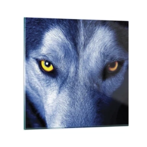 Obraz na szkle - Hipnotyzujące spojrzenie - 30x30 cm