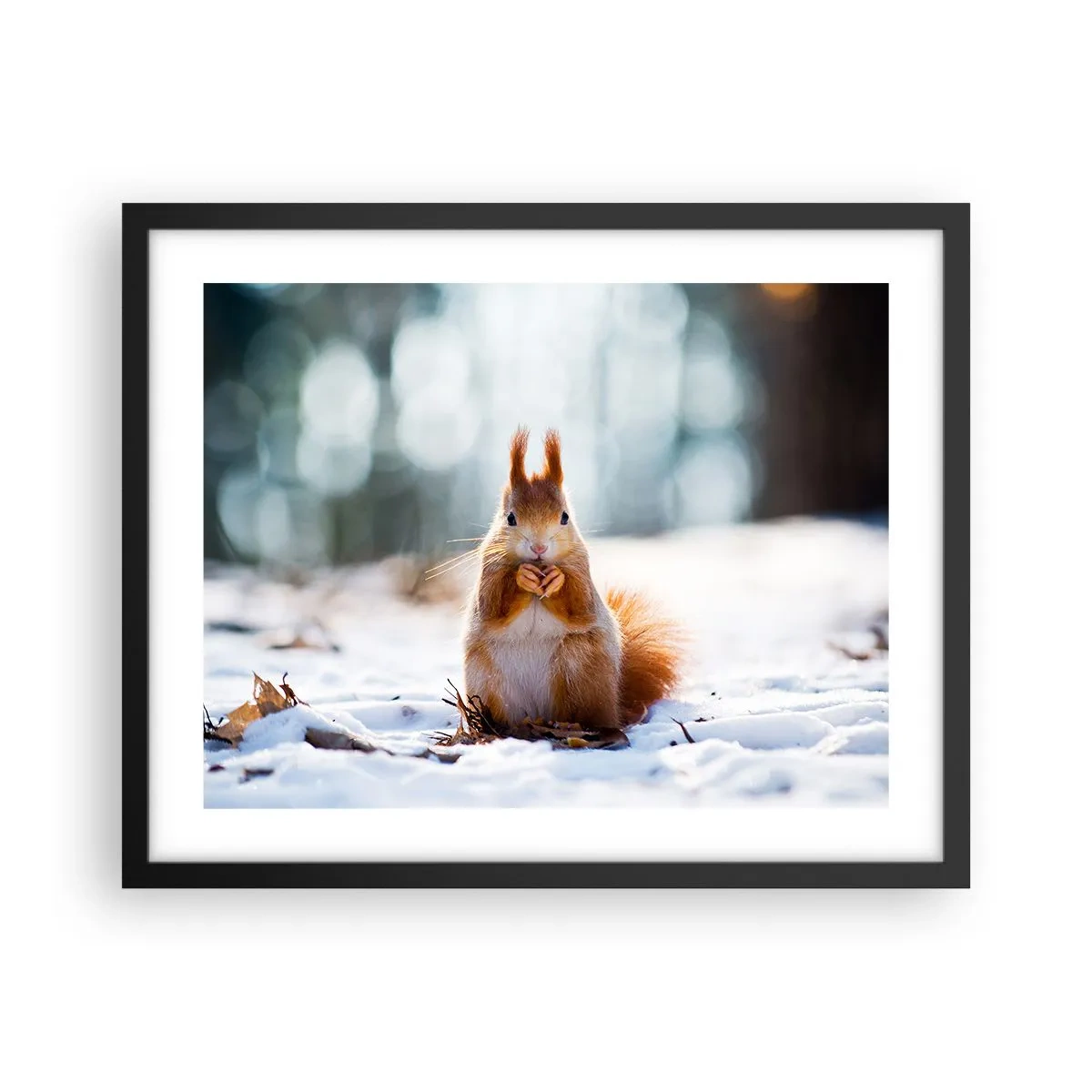 Plakat w czarnej ramie - I co tak patrzysz? - 50x40 cm