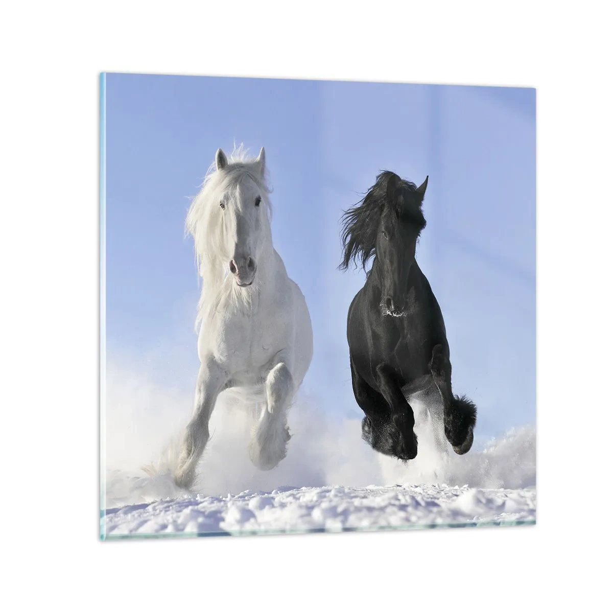 Obraz na szkle - Czarno-biały galop - 30x30 cm