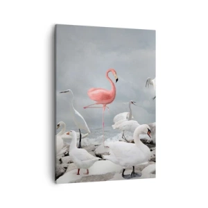 Obraz na płótnie - Różowy flaming wśród białych ptaków na skalistym wybrzeżu - 50x70cm - Skąd się tu wziąłem? - Nowoczesna dekoracja ścienna do salonu, kuchni i sypialni ARTTOR