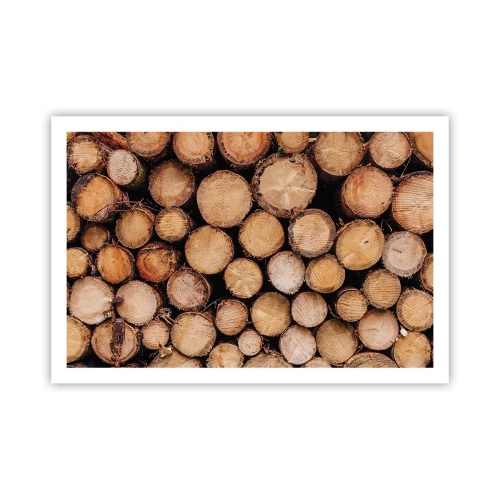 Plakat - Nowy początek - 91x61 cm