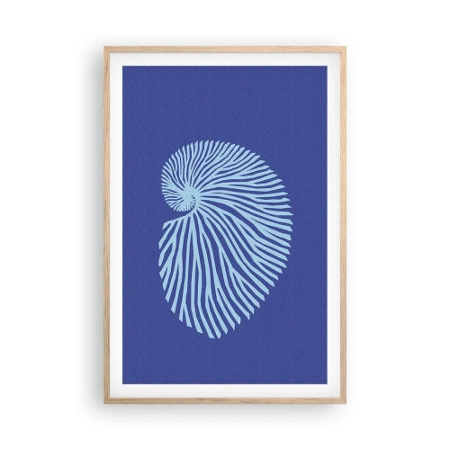 Plakat w ramie jasny dąb - Narodziny muszli - 61x91 cm