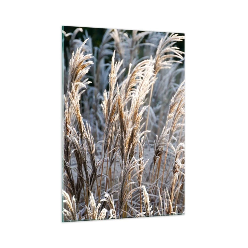 Obraz na szkle - Zmrożone trawy w zimowym słońcu - 50x70cm - Szronem ustrojone - Nowoczesna dekoracja ścienna do salonu, kuchni i sypialni ARTTOR