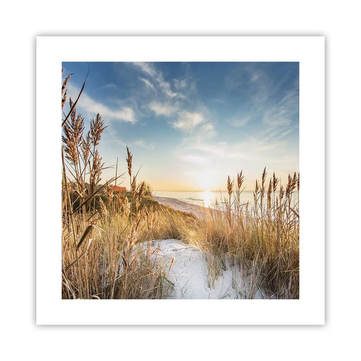 Plakat - Północna plaża - 40x40 cm
