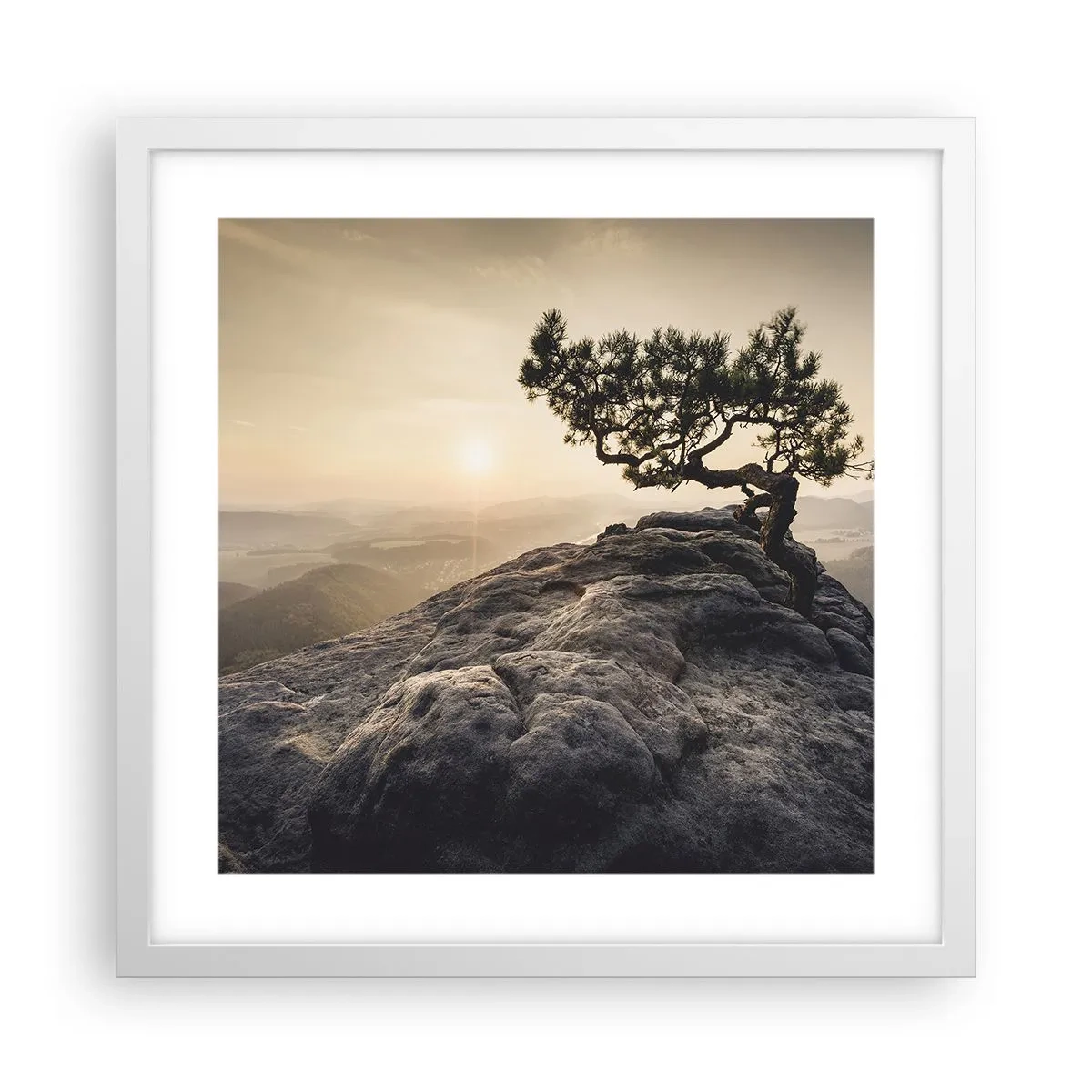 Plakat w białej ramie - Życie zawsze zwycięża - 40x40 cm