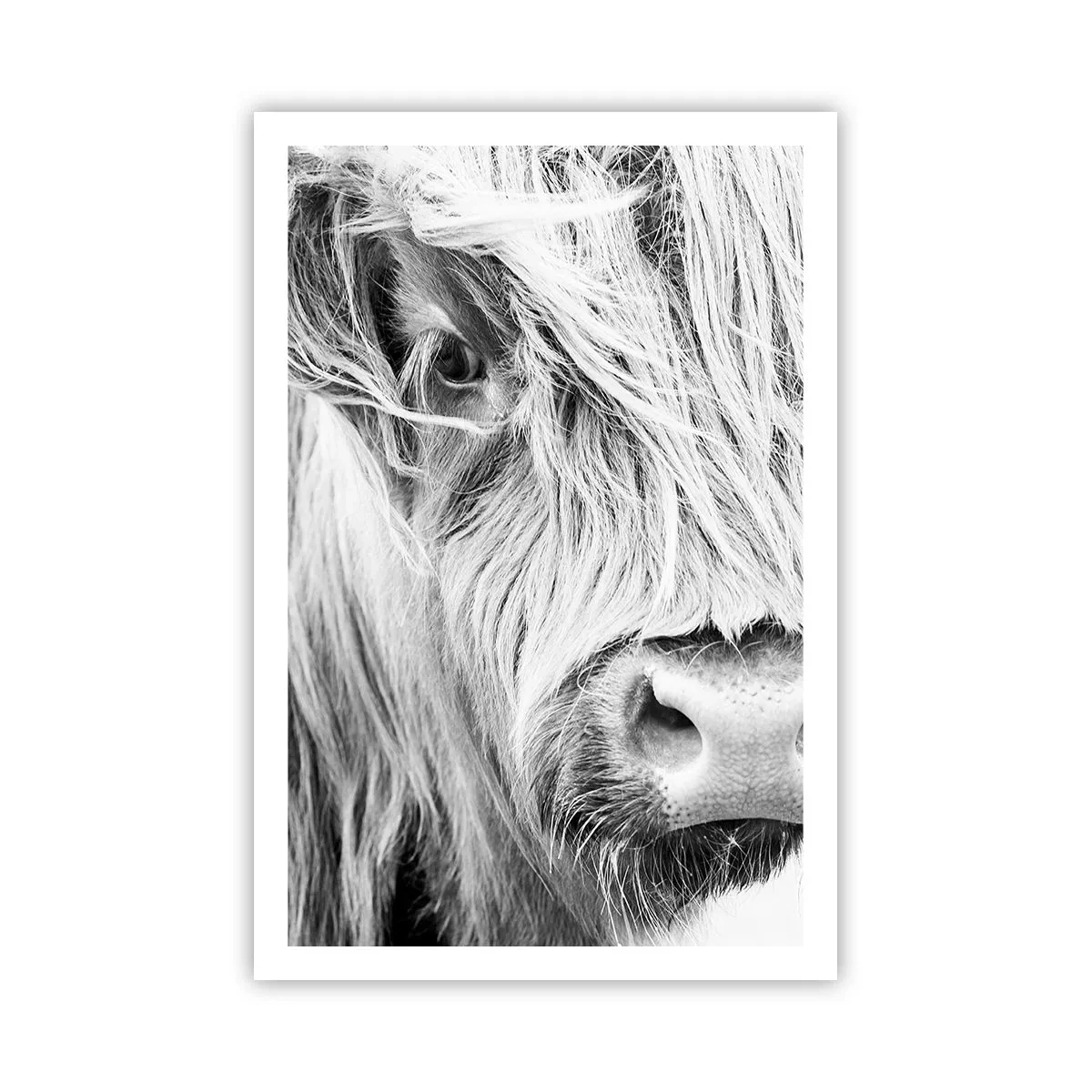 Plakat - Szkocka dzikość - 61x91 cm
