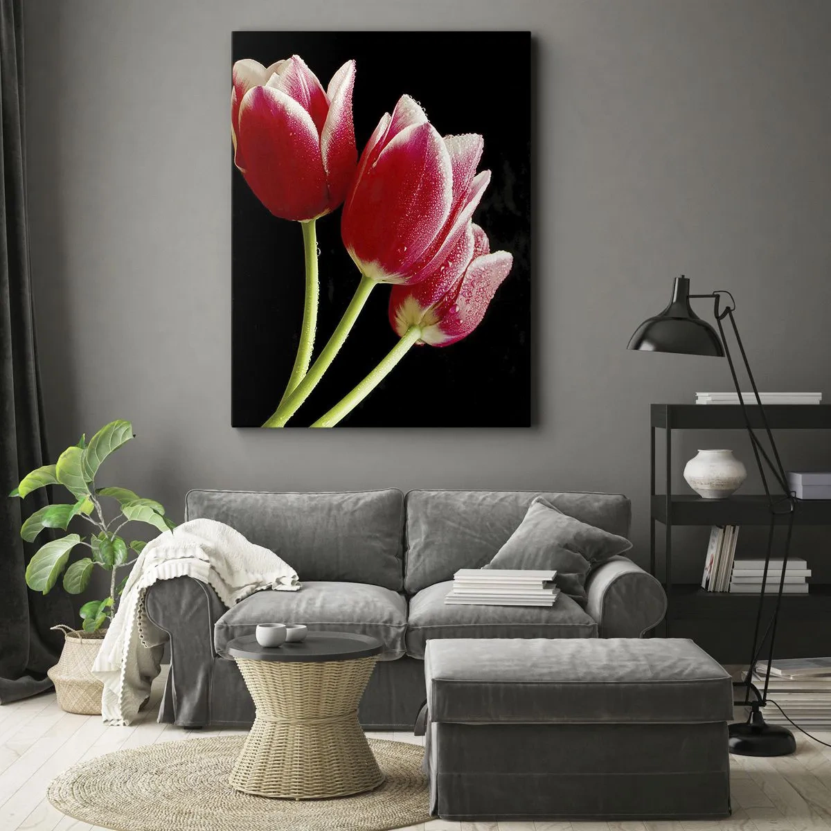 Obraz na płótnie - Czerwone tulipany z kroplami wody na czarnym tle - 50x70cm - Obietnica czystej miłości - Nowoczesna dekoracja ścienna do salonu, kuchni i sypialni ARTTOR