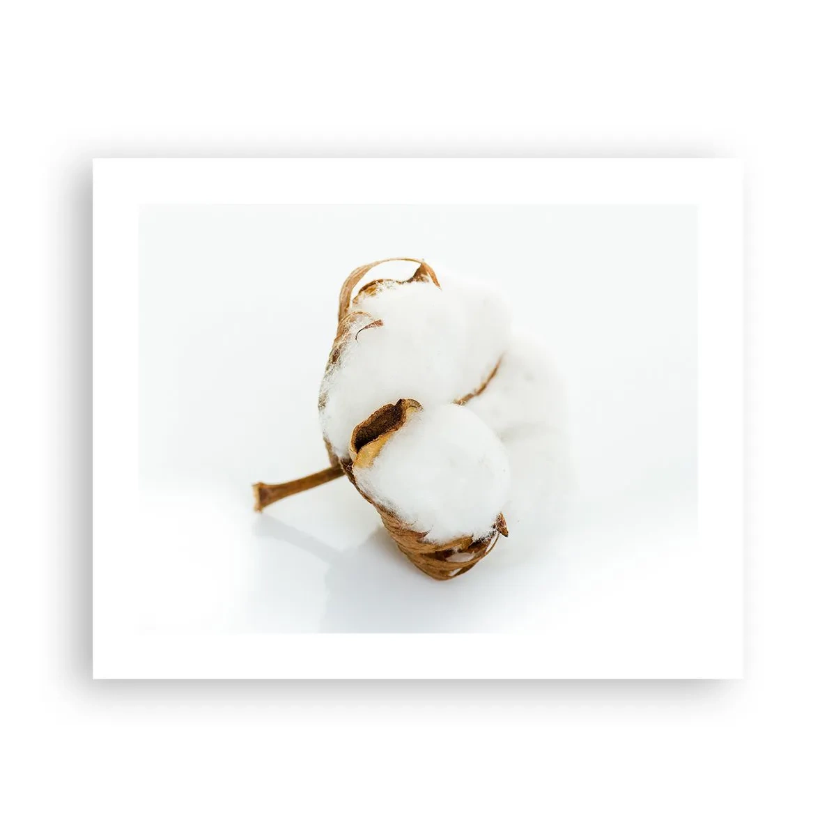 Plakat - Miękka z natury - 50x40 cm