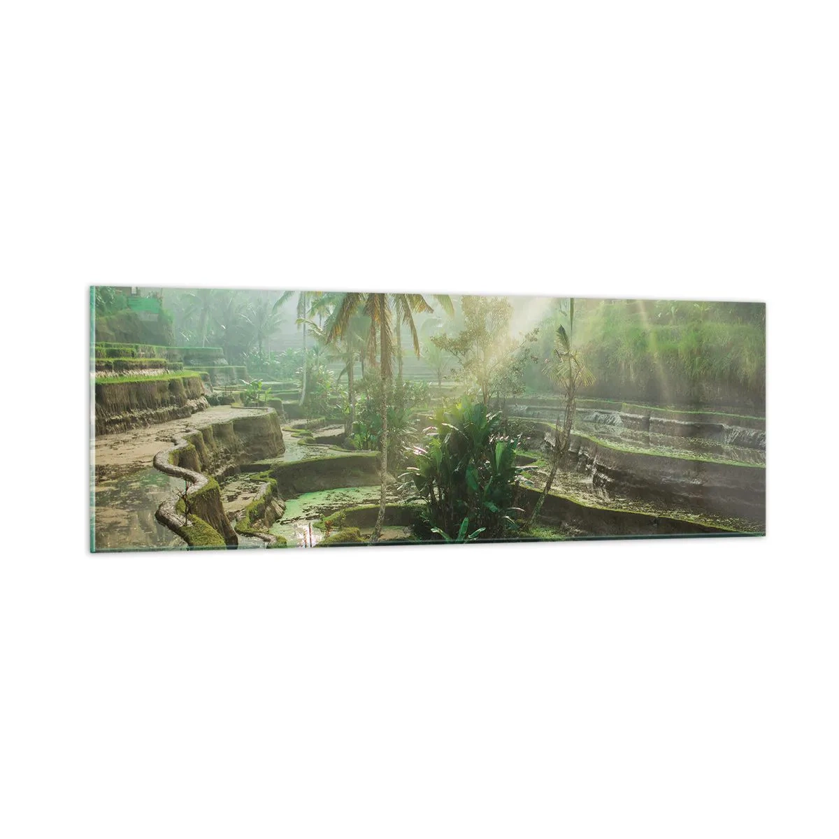 Obraz na szkle - Dorastać w słońcu - 90x30 cm