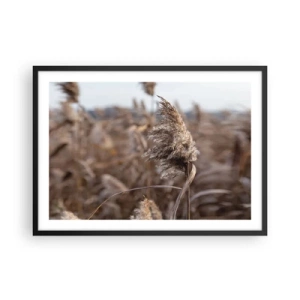 Plakat w czarnej ramie - Delikatne trawy w odcieniach beżu na tle natury - 70x50cm - Czas odlecieć z wiatrem - Nowoczesna dekoracja ścienna do salonu i sypialni ARTTOR