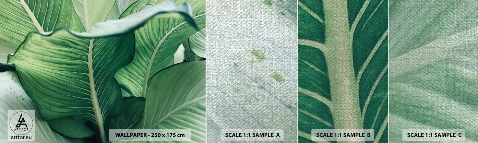 Fototapeta Próbka Premium Canvas - Życie intensywnie zielone - Liście, Egzotyczny, Botaniczny - 100x30 cm