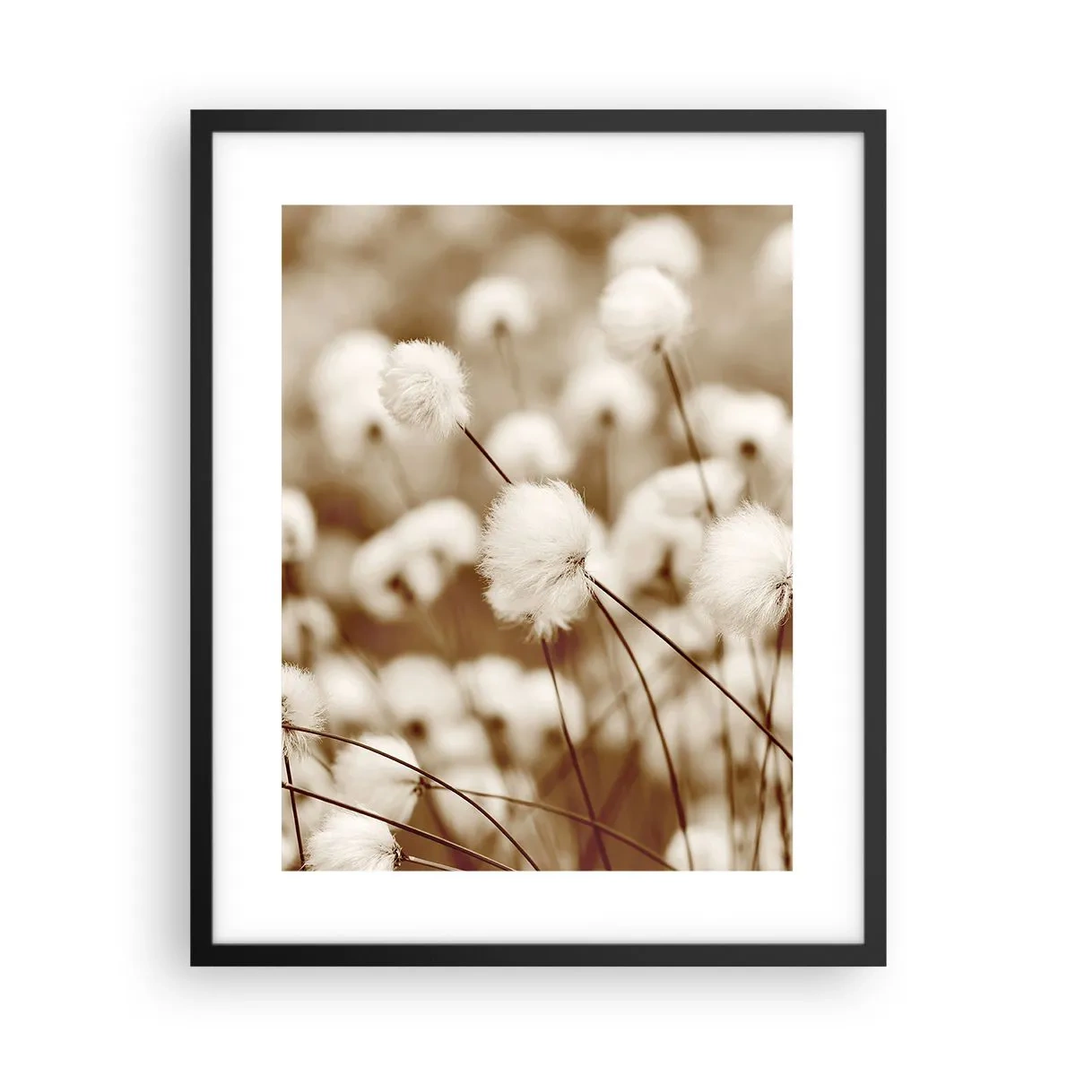 Plakat w czarnej ramie - Puszysty łan - 40x50 cm
