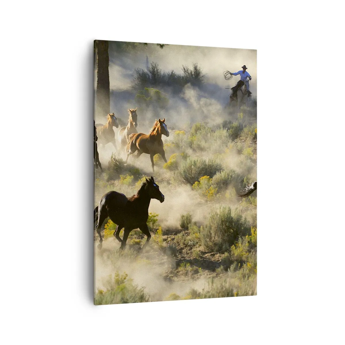 Obraz na płótnie - Stado dzikich koni galopujących przez kurz i roślinność - 70x100cm - Rywalizacja - wolność czy męska siła? - Nowoczesna dekoracja ścienna do salonu i sypialni ARTTOR