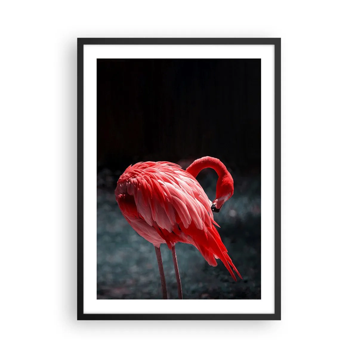 Plakat w czarnej ramie - Czerwony flaming na ciemnym tle, subtelnie zwrócony w swoją stronę - 50x70cm - Karmazynowy poemat natury - Nowoczesna dekoracja ścienna do salonu i sypialni ARTTOR