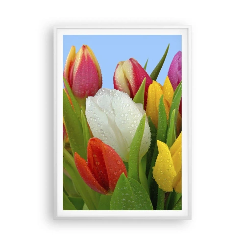 Plakat w białej ramie - Kwiatowa tęcza w kroplach rosy - 70x100 cm