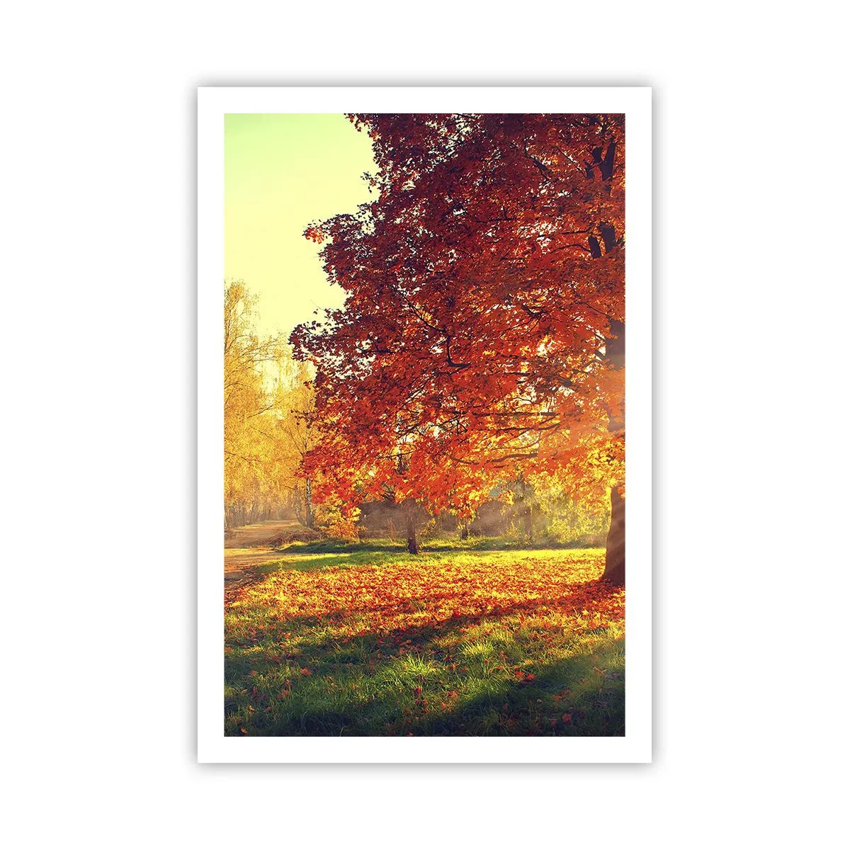 Plakat - Rude jest piękne - 61x91 cm