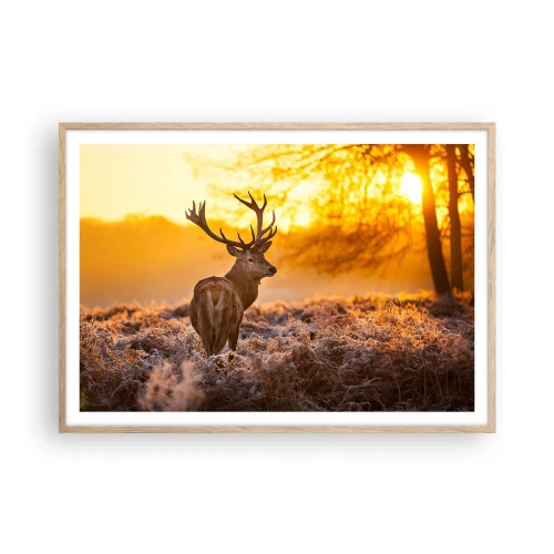 Plakat w ramie jasny dąb - Król jesiennego lasu - 100x70 cm