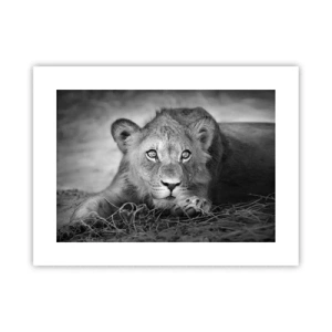 Plakat - Królewskie szczenię - 40x30 cm