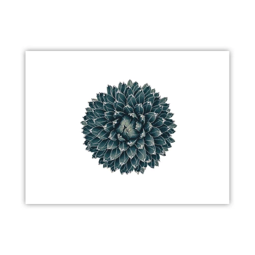 Plakat - Gwiazda pustyni - 40x30 cm