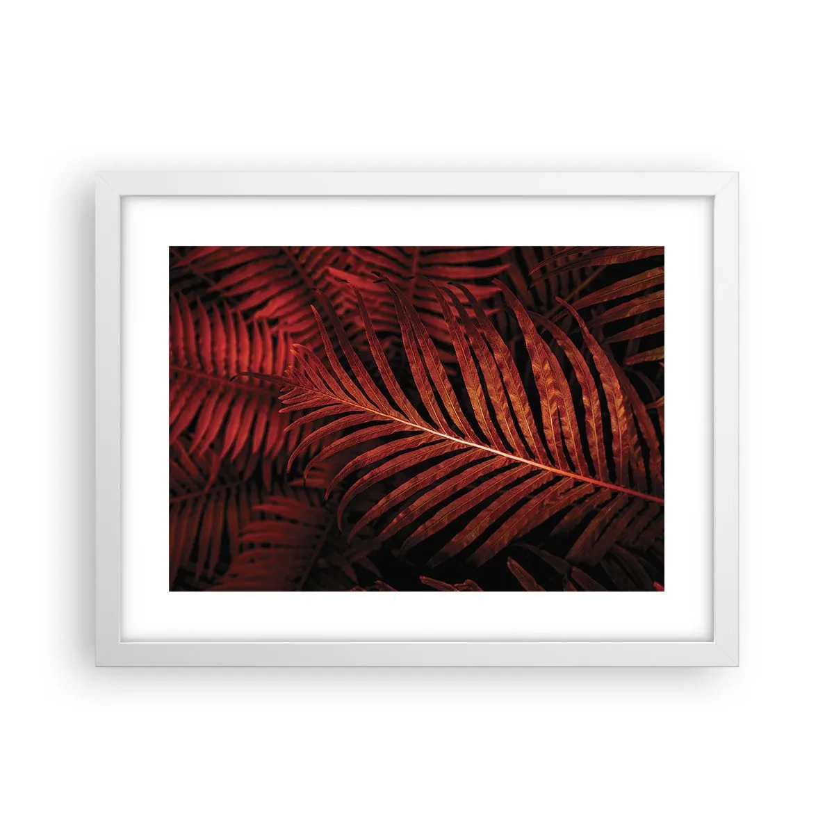 Plakat w białej ramie - Żar życia - 40x30 cm
