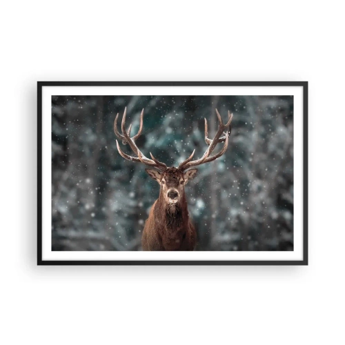Plakat w czarnej ramie - Król lasu ukoronowany - 91x61 cm