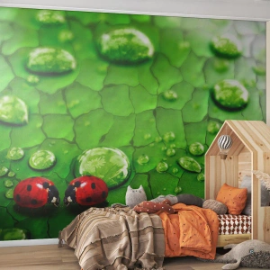 Fototapeta Premium Sand - Spotkanie w zieleni - Natura, Biedronka, Kropla Wody - 300x210 cm