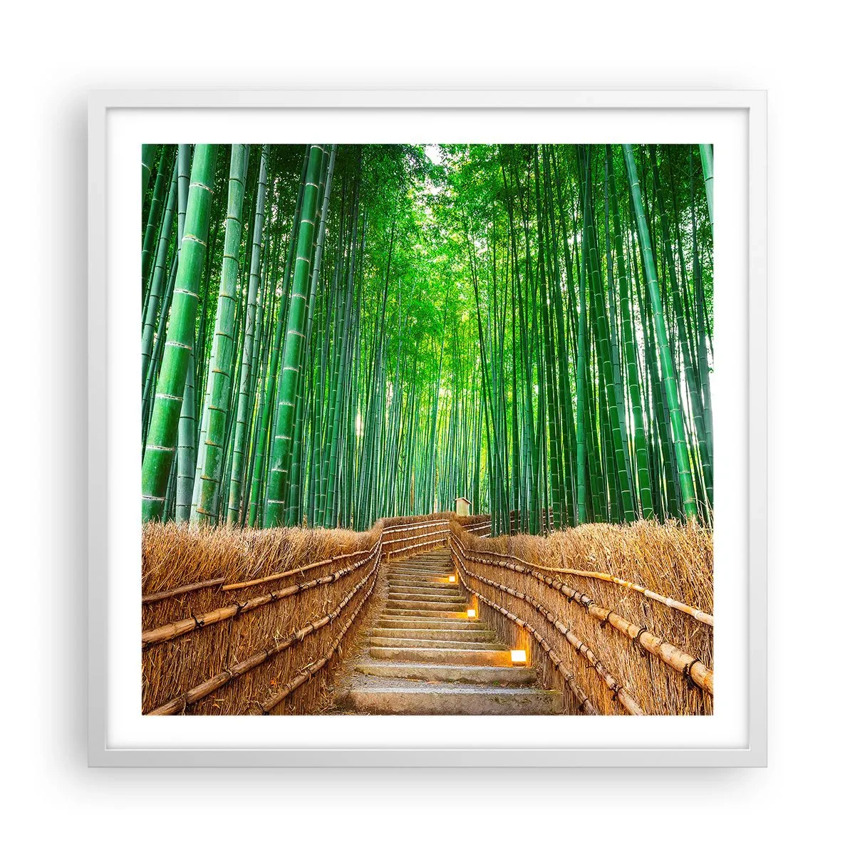 Plakat w białej ramie - Esencja azjatyckiej natury - 60x60 cm