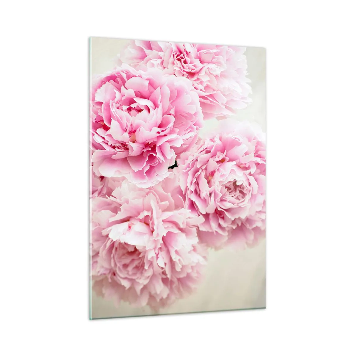Obraz na szkle - Bukiet pełnych różowych piwonii na jasnym tle - 50x70cm - W różowym przepychu - Nowoczesna dekoracja ścienna do salonu, kuchni i sypialni ARTTOR