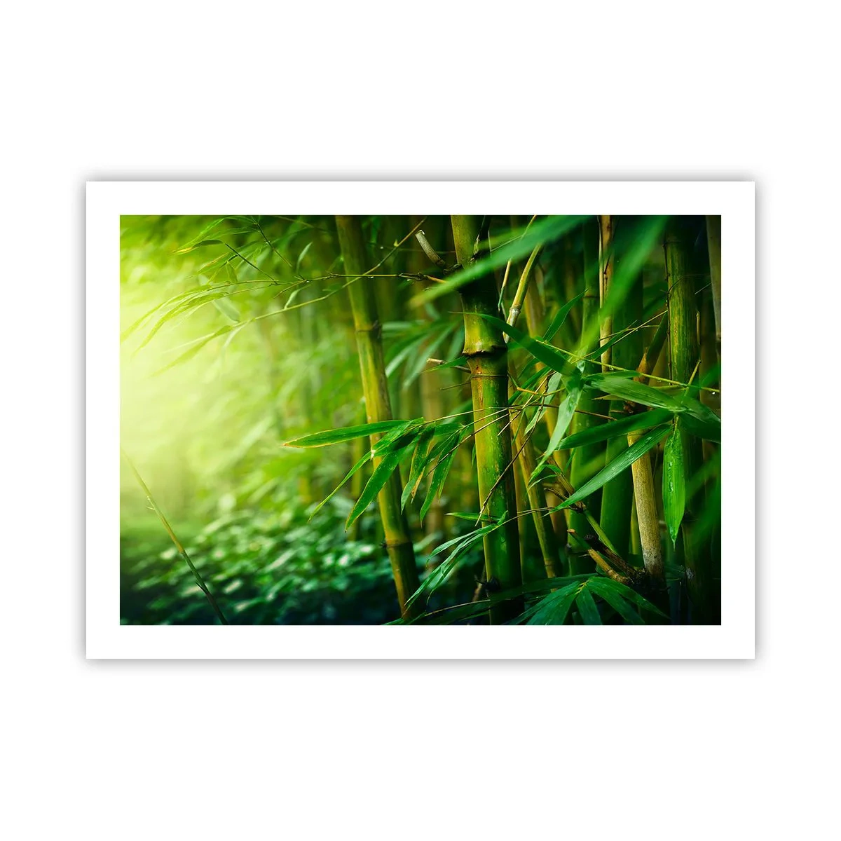 Plakat - Poznać zieleń samą w sobie - 70x50 cm