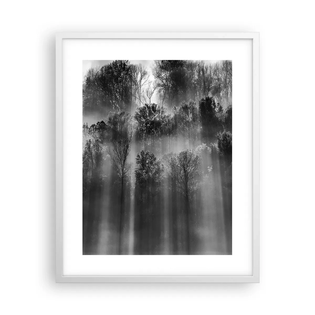 Plakat w białej ramie - W strumieniach światła - 40x50 cm