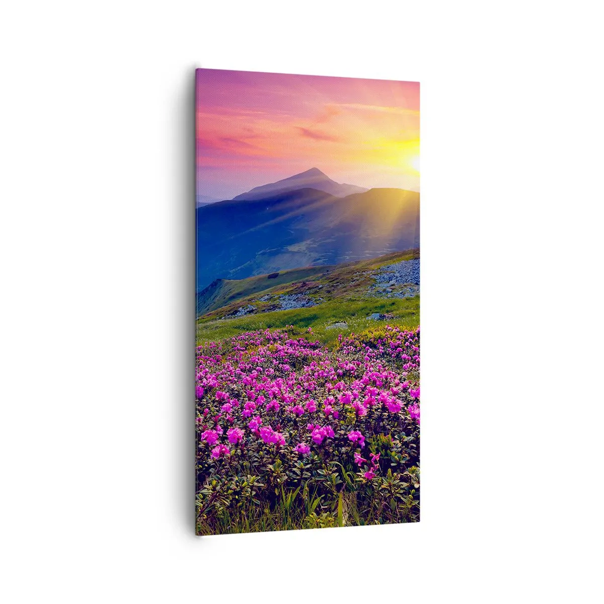 Obraz na płótnie - … A dokoła pachnie kosodrzewina i wonieją zioła - 65x120 cm