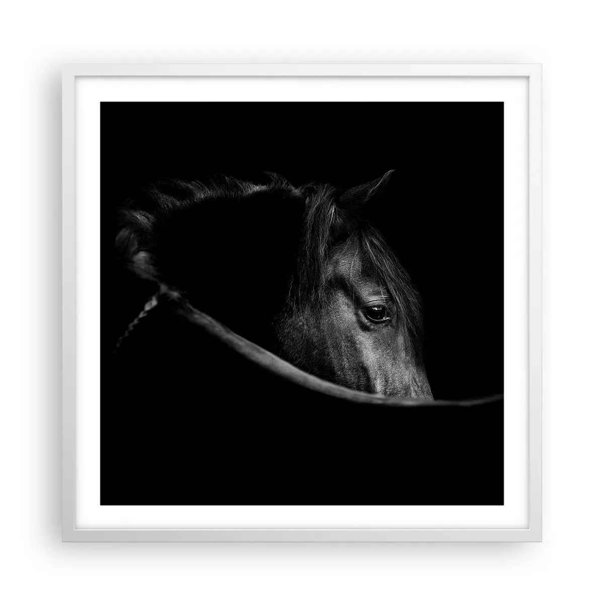 Plakat w białej ramie - Czarny książę - 60x60 cm