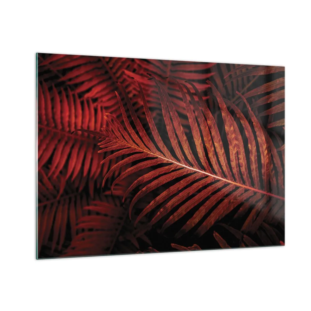 Obraz na szkle - Czerwone liście tropikalnej rośliny na ciemnym tle - 100x70cm - Żar życia - Nowoczesna dekoracja ścienna do salonu, kuchni i sypialni ARTTOR