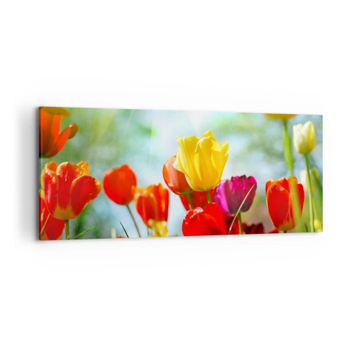 Obraz na płótnie - Kolorowe tulipany w promieniach słońca - 120x50cm - Wszystkie barwy słońca - Nowoczesna dekoracja ścienna do salonu i sypialni ARTTOR
