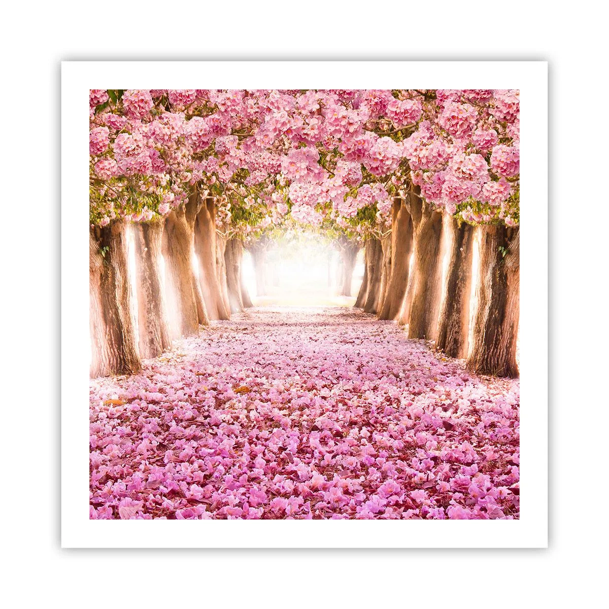 Plakat - Droga do raju - 60x60 cm