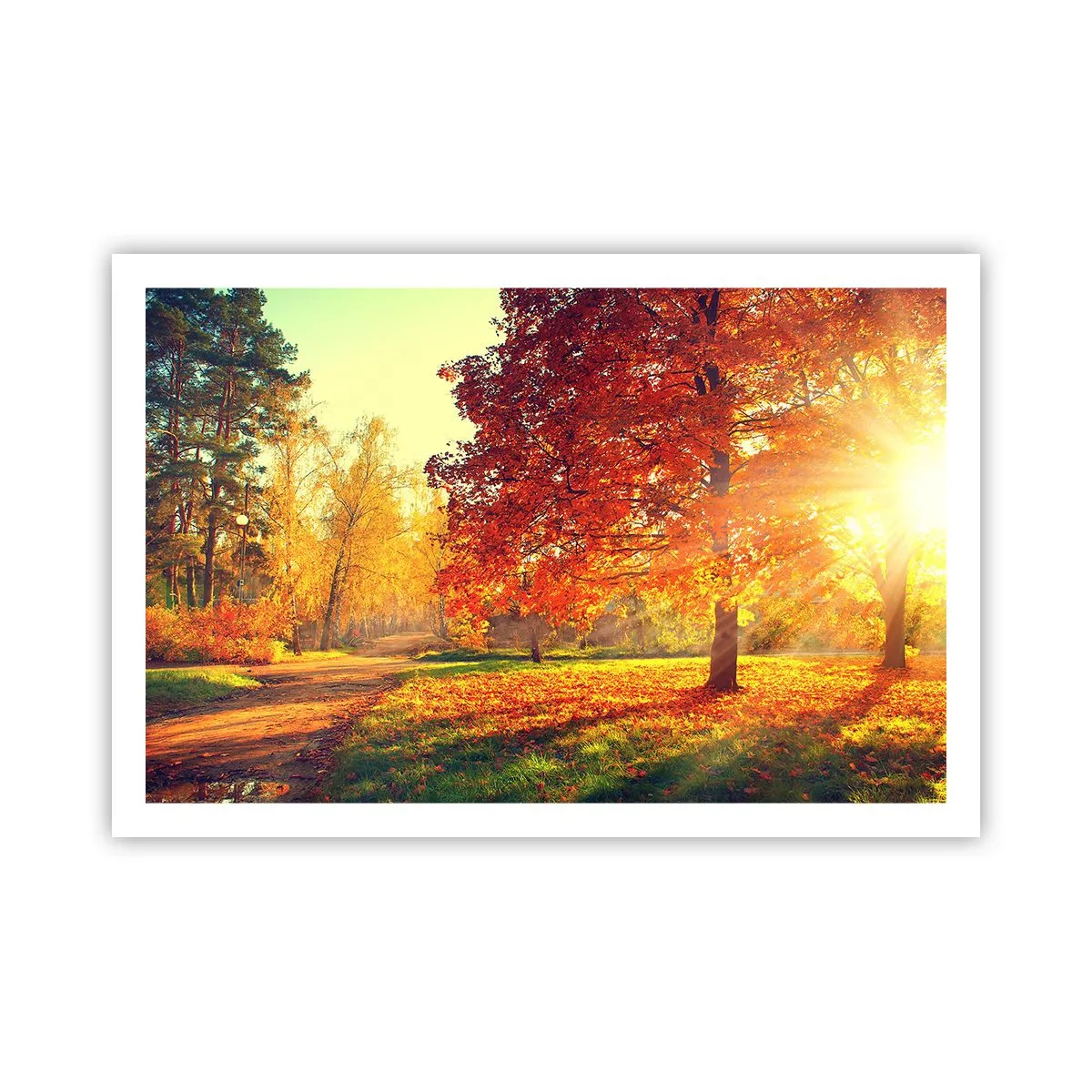 Plakat - Rude jest piękne - 91x61 cm
