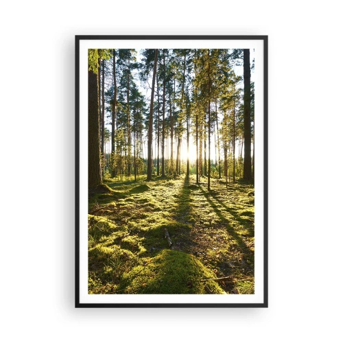 Plakat w czarnej ramie - …Za siedmioma lasami - 70x100 cm