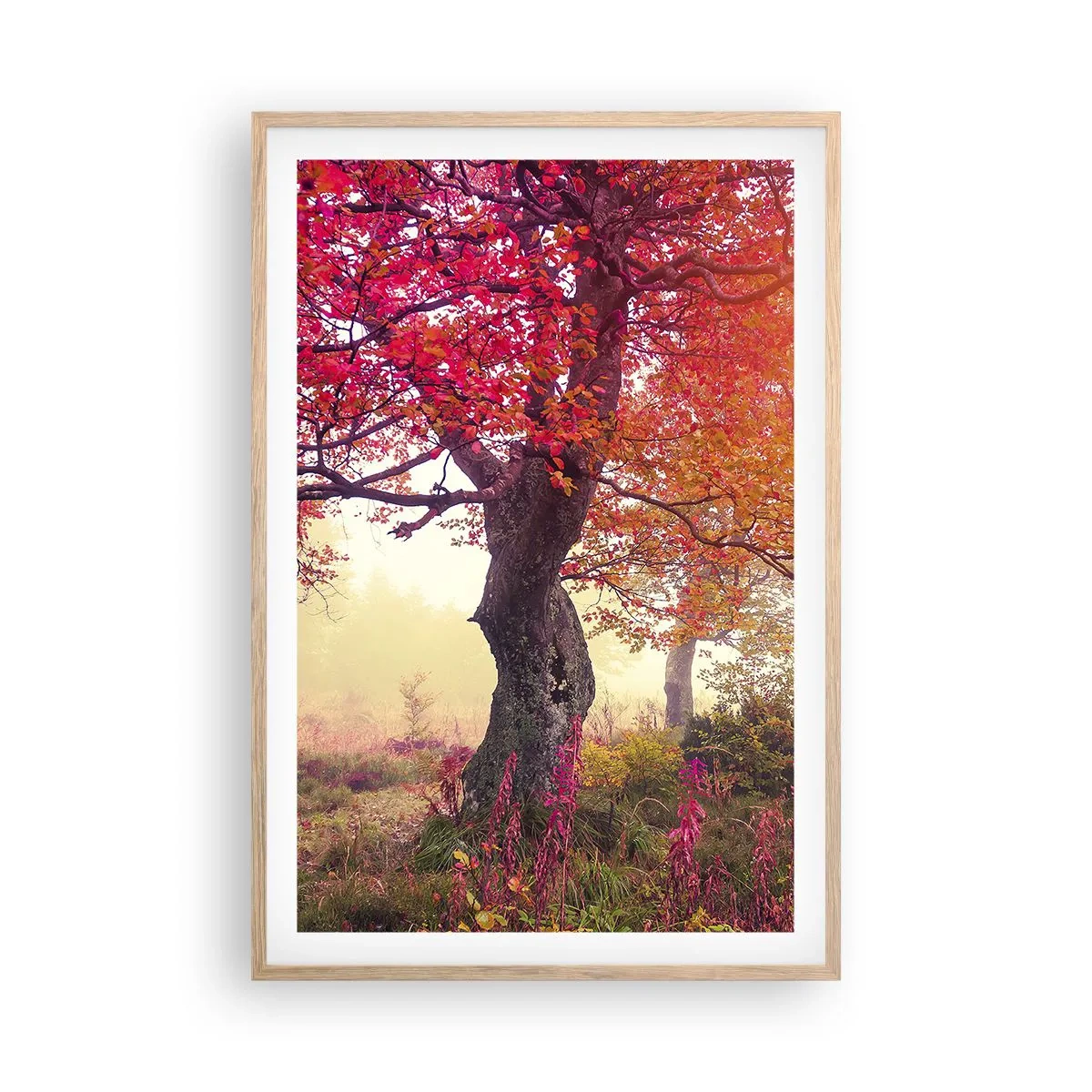 Plakat w ramie jasny dąb - Szał rozkwitu - 61x91 cm