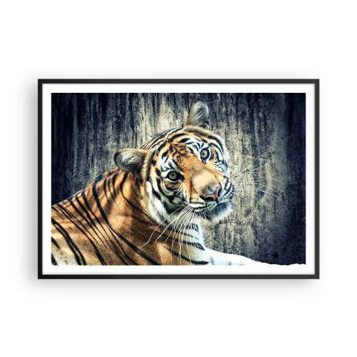 Plakat w czarnej ramie - Tygrys leżący na tle surowej tekstury ściany - 100x70cm - Portret w strugach światła - Nowoczesna dekoracja ścienna do salonu i sypialni ARTTOR