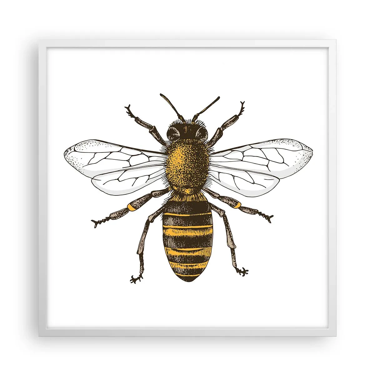 Plakat w białej ramie - Piękna i dobra - 60x60 cm