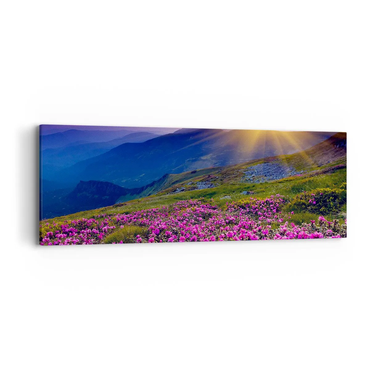 Obraz na płótnie - … A dokoła pachnie kosodrzewina i wonieją zioła - 90x30 cm